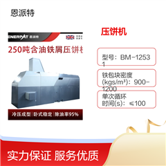 BM-12531恩派特1250吨铸铝屑压饼机