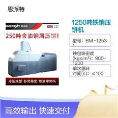 BM-12531恩派特1250噸鐵銷壓餅機