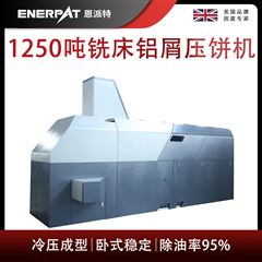 BM-12531恩派特1250噸銑床鋁屑壓餅機